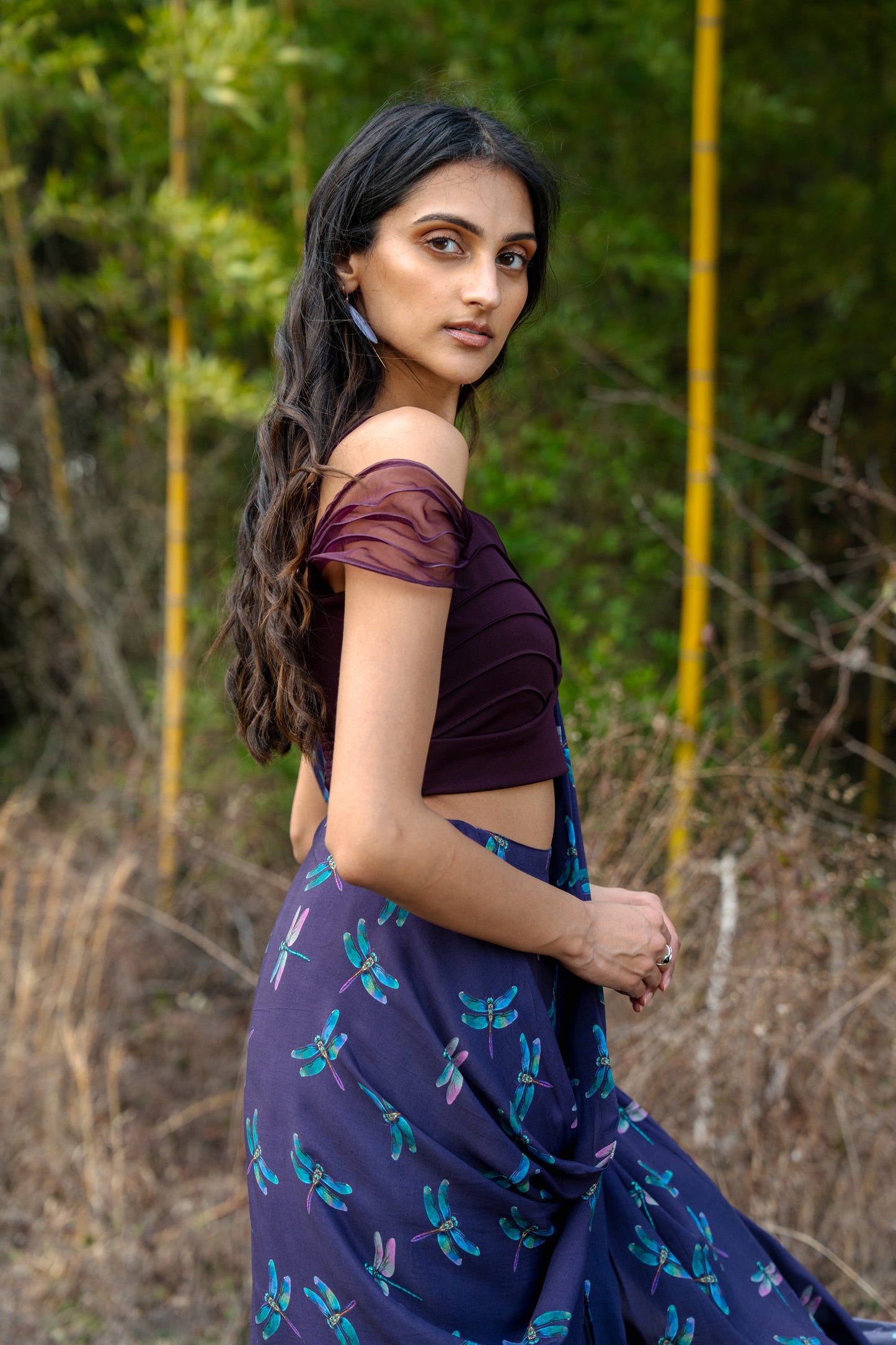 Dragonfly Veil Sari