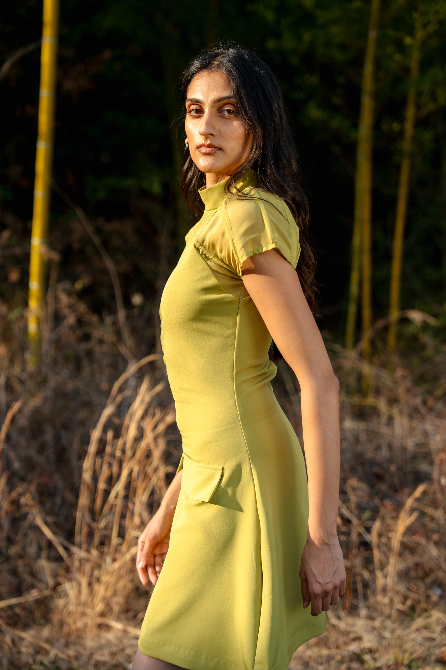 Metamorph Butterfly Mini Dress
